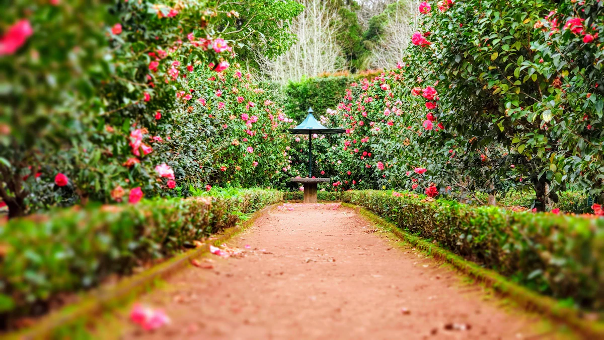 Un vialetto tra siepi fiorite in un giardino
