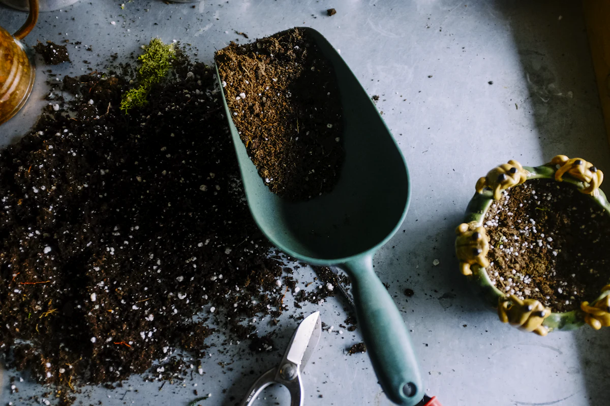 Una paletta da giardino con terriccio fertile